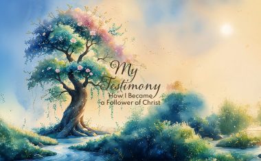 My Testimony